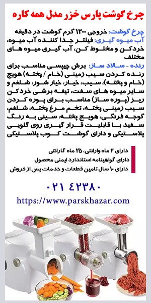 انعکاس جنوب