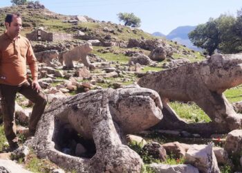 تاملی بر پدیده ی تاراجِ بَردِ شیرهای تاریخی در زاگرس میانی /آیا نجات دهنده ای هست؟