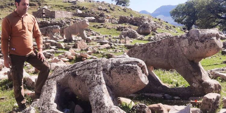 تاملی بر پدیده ی تاراجِ بَردِ شیرهای تاریخی در زاگرس میانی /آیا نجات دهنده ای هست؟