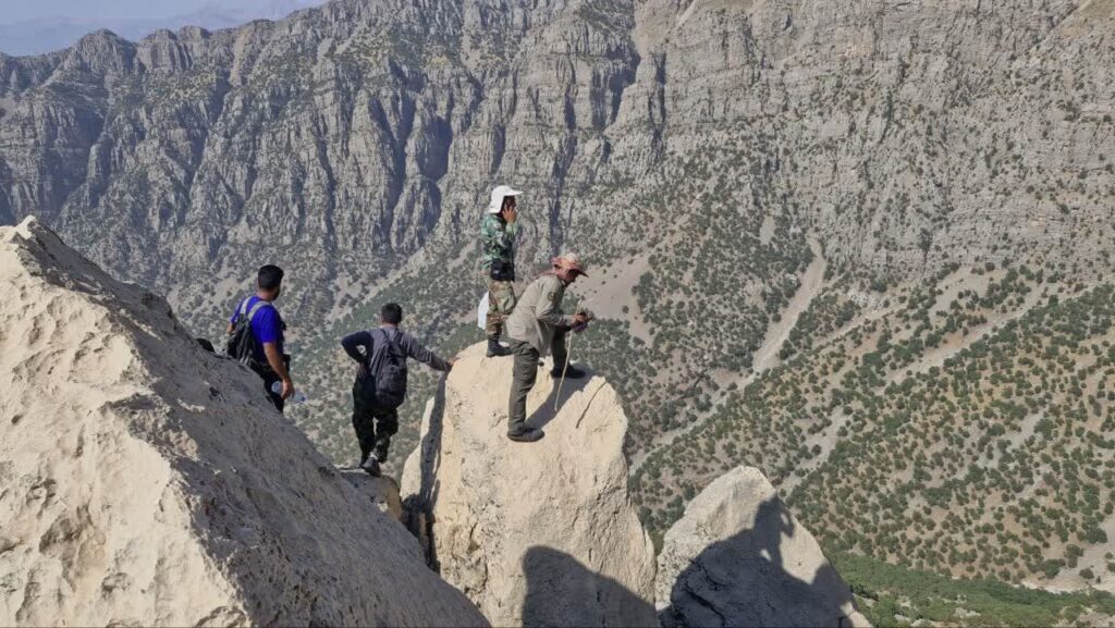 جستجو برای یافتن دکتر ابراهیمی در پنجمین روز هم ادامه دارد