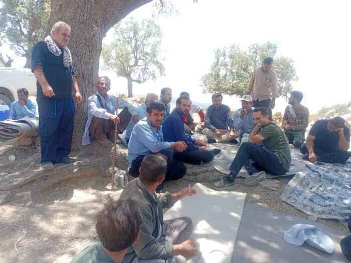 جست و جو برای یافتن دامپزشک جهادی ادامه دارد