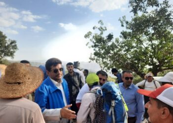 جستجو برای یافتن دکتر ابراهیمی در پنجمین روز هم ادامه دارد