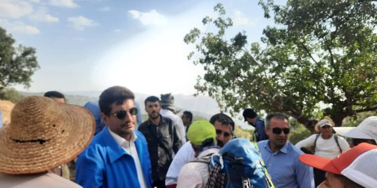 جستجو برای یافتن دکتر ابراهیمی در پنجمین روز هم ادامه دارد