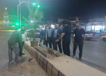 کاشت نخل تزئینی پالم در مسیر بلوار نمره یک به دوراهی بی‌بیان