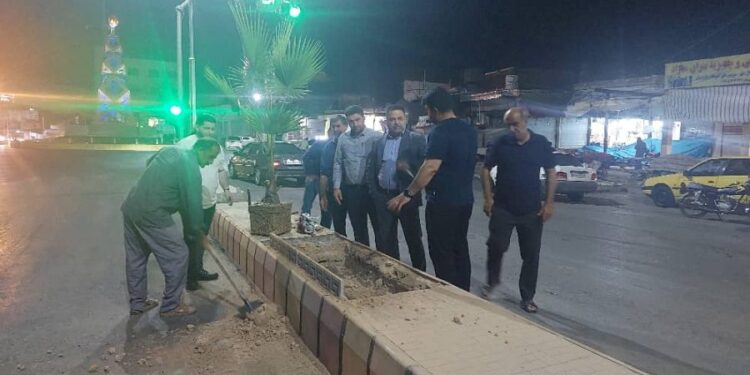 کاشت نخل تزئینی پالم در مسیر بلوار نمره یک به دوراهی بی‌بیان