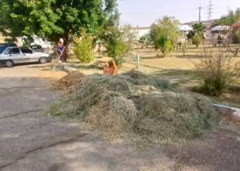 گزارش جامع عملکرد یک هفته اخیر معاونت خدمات شهری (واحد خدمات شهری) شهرداری مسجدسلیمان