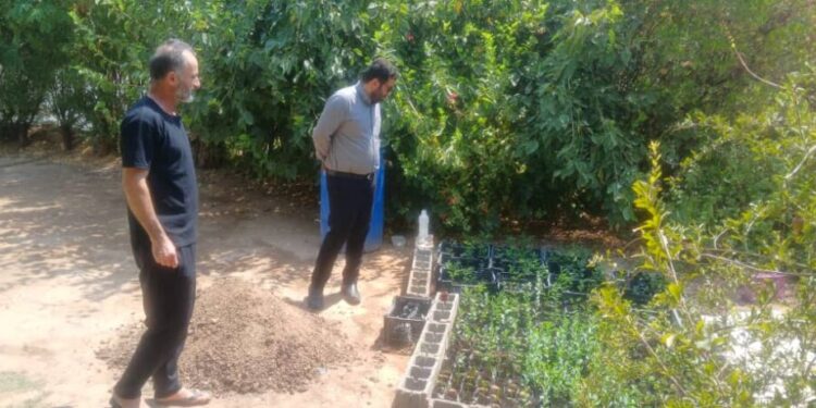 دیدار معاونت خدمات شهری شهرداری مسجدسلیمان با خانواده نمونه محیط زیست