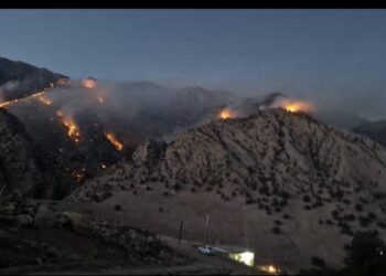 آتش سوزی گسترده در بخش چلو اندیکا؛ احتمال عمدی بودن در دست بررسی است