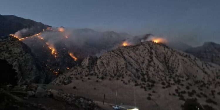 آتش سوزی گسترده در بخش چلو اندیکا؛ احتمال عمدی بودن در دست بررسی است