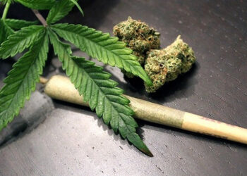 بیش از 180 کیلو گرم ماری جوانا در لالی کشف و ضبط شد