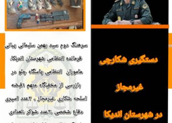 فرمانده انتظامی اندیکا از دستگیری شکارچی غیرمجاز در این شهرستان خبر داد