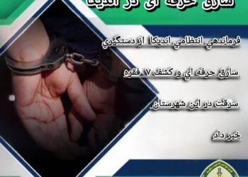 فرماندهی انتظامی اندیکا از دستگیری سارق حرفه ای و کشف 7 فقره سرقت در این شهرستان خبر داد