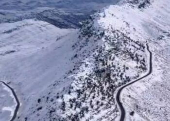 تاراز، تاج افتخار جنوب