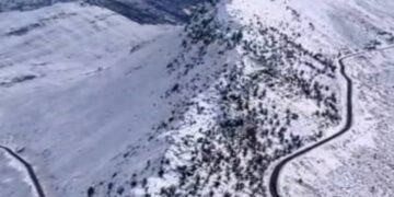 تاراز، تاج افتخار جنوب