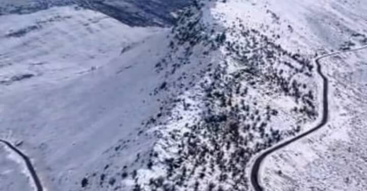 تاراز، تاج افتخار جنوب