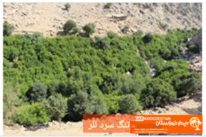 «چلو؛ تلاقی طبیعت بکر، تاریخ کهن و مهماننوازی بومی» «چلو؛ تلاقی طبیعت بکر، تاریخ کهن و مهماننوازی بومی»