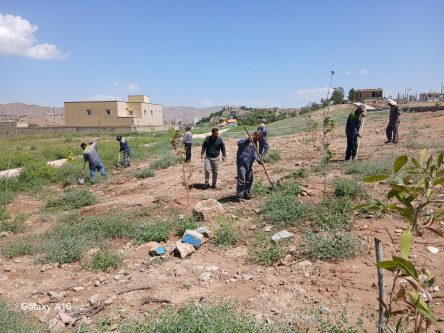 ریشه دواندن امید در مسجدسلیمان؛ همزمان با روز زمین پاک، صدها نهال در برخی نقاط شهر کاشته شدند ریشه دواندن امید در مسجدسلیمان؛ همزمان با روز زمین پاک، صدها نهال در برخی نقاط شهر کاشته شدند
