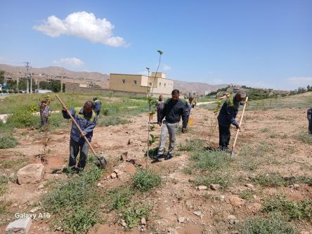 ریشه دواندن امید در مسجدسلیمان؛ همزمان با روز زمین پاک، صدها نهال در برخی نقاط شهر کاشته شدند ریشه دواندن امید در مسجدسلیمان؛ همزمان با روز زمین پاک، صدها نهال در برخی نقاط شهر کاشته شدند