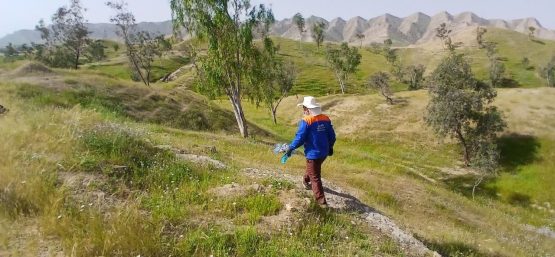 پارک کوهستانی 50 هکتاری تمبی پاکسازی شد پارک کوهستانی 50 هکتاری تمبی پاکسازی شد