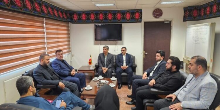 انعکاس جنوب انعکاس جنوب