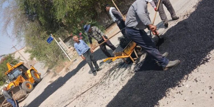 انعکاس جنوب انعکاس جنوب
