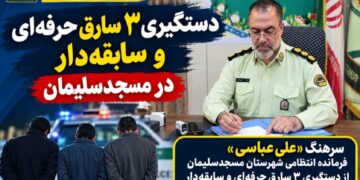 پایان کار باند ۳ نفره سارقان در مسجدسلیمان؛ ۸ فقره سرقت کشف شد
